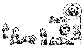 sketch of pandas